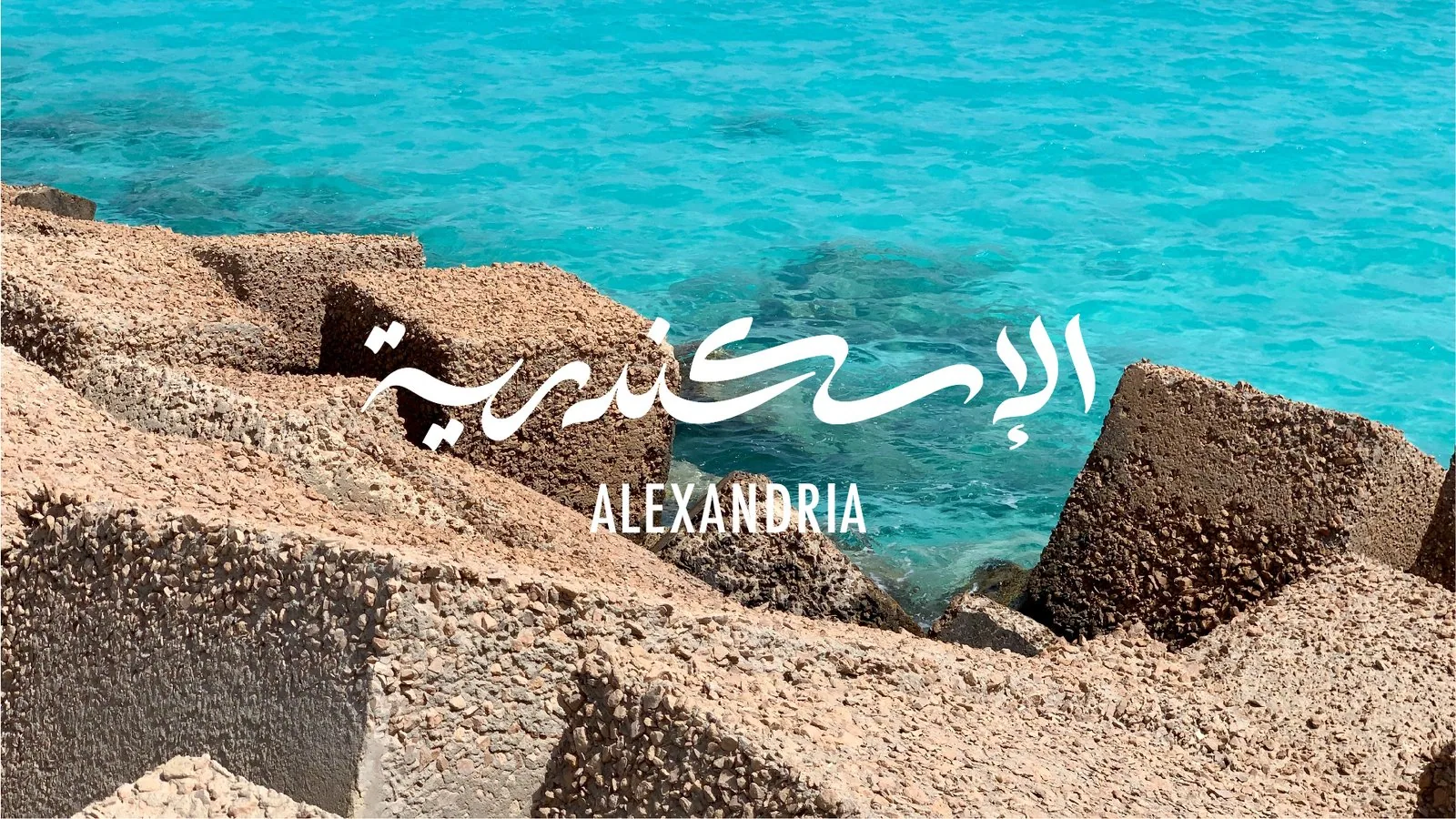 Alexandria Portfolio Presentation-04