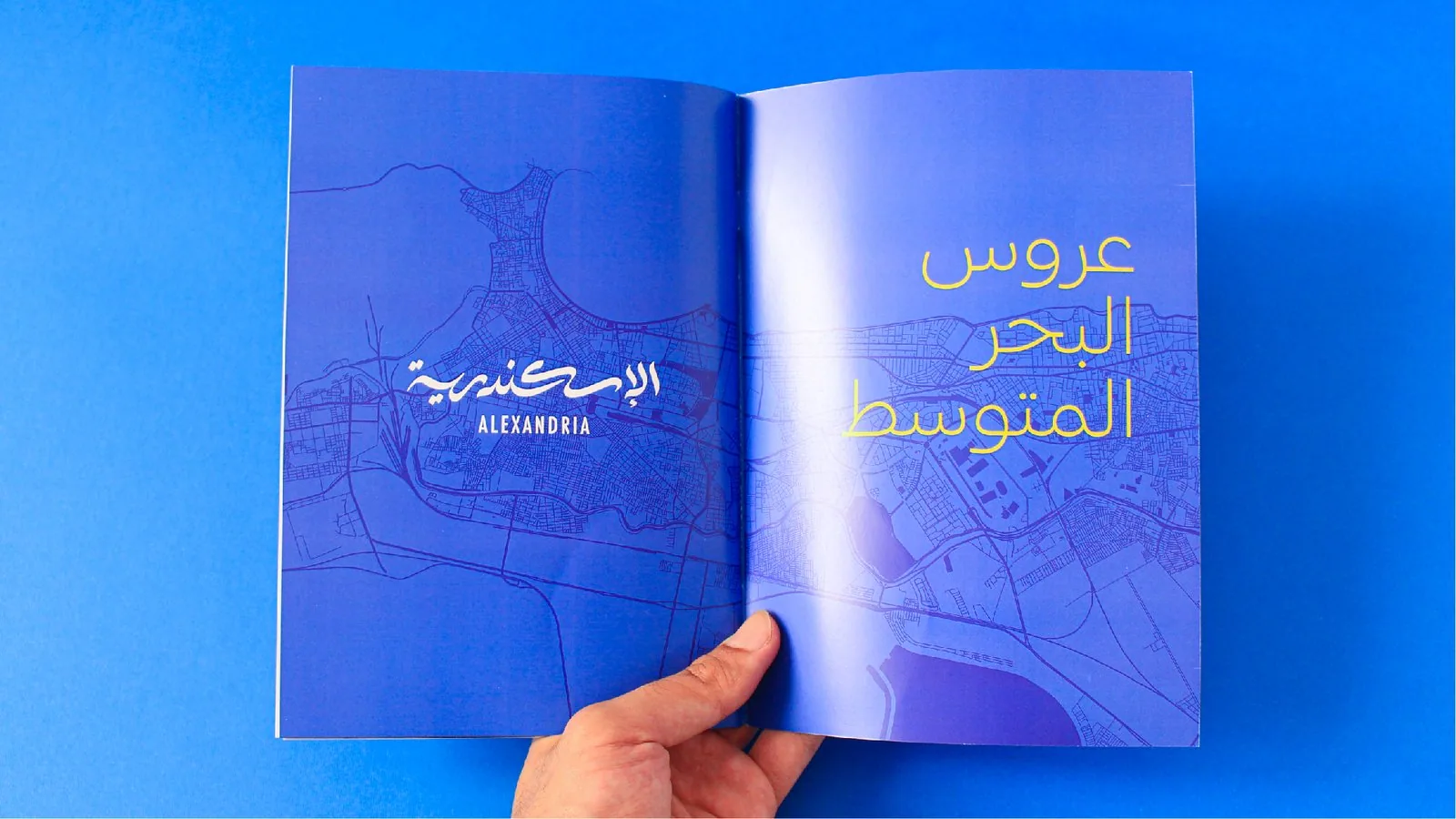 Alexandria Portfolio Presentation 2-09