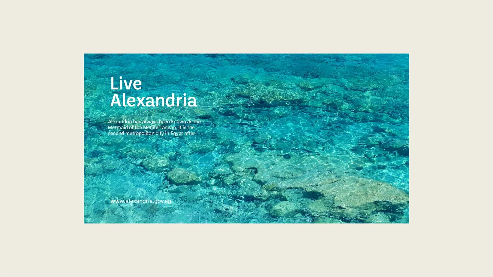 Alexandria Portfolio Presentation-33