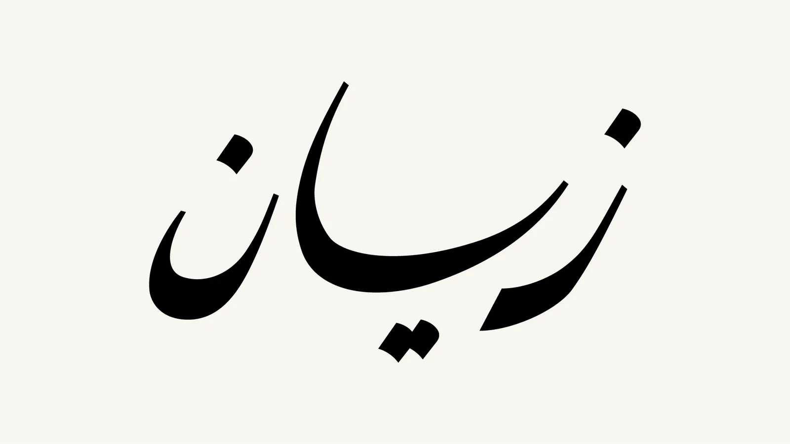 Zayan Portfolio show-14